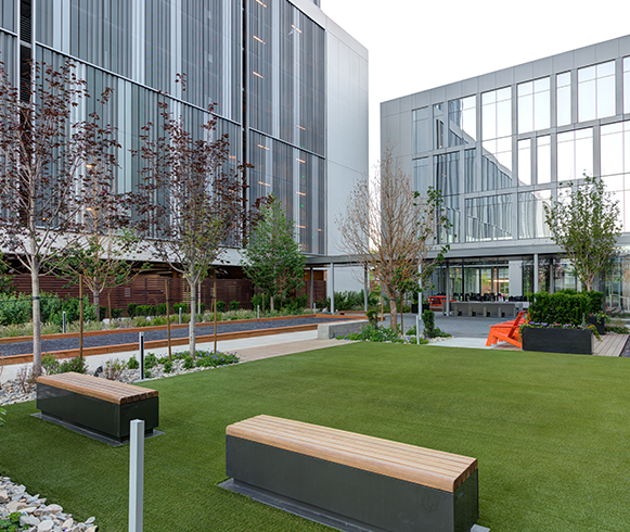 Exterior view of greenspace at 650 Main