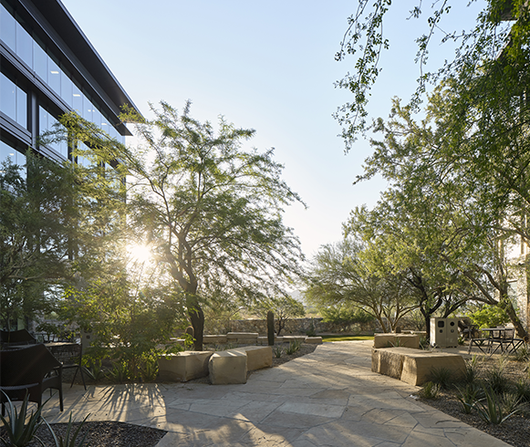 Exterior view of greenspace at Cavasson East