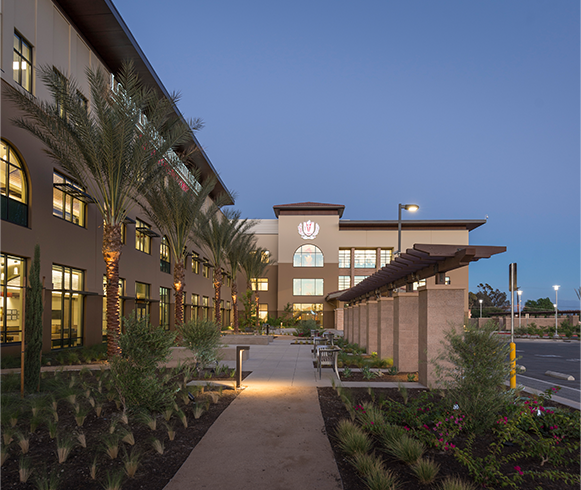 Exterior view of SACHS Norton Clinic with a landscape of palm trees and bushes on both sides of the sidewalk.