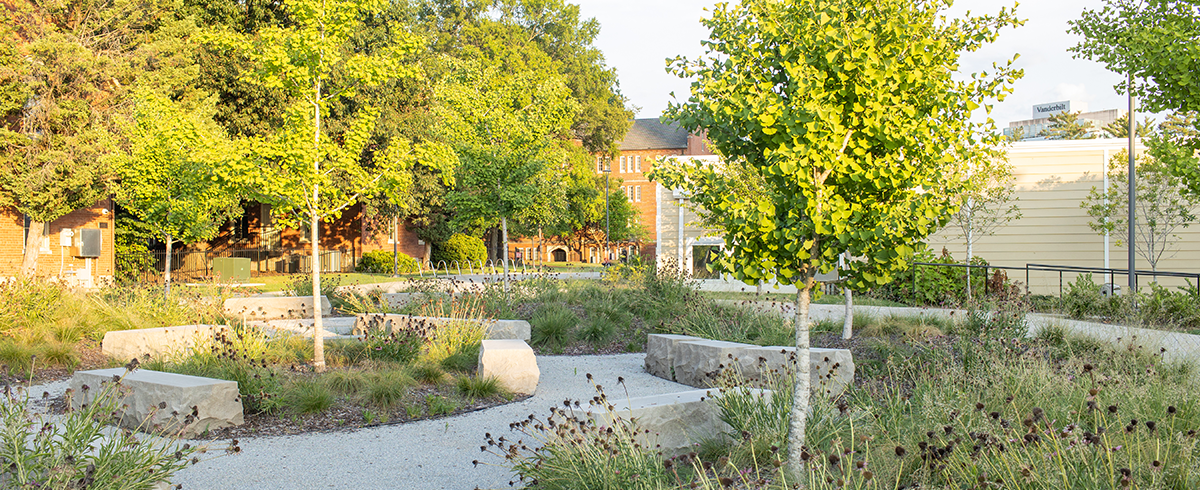 Exterior view of greenspace around the Vanderbilt Student Housing