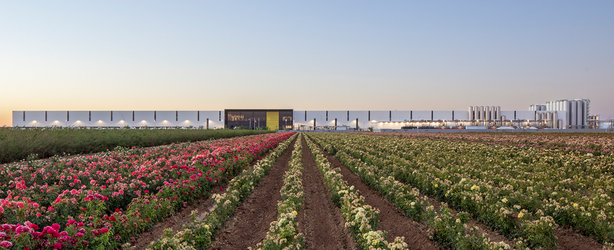 Exterior view of the fields around the White Claw Distillery