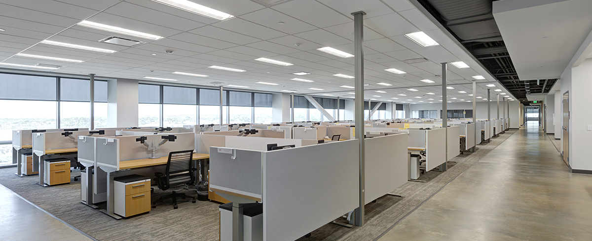 Several rows of new cubicles next to floor to ceiling windows.
